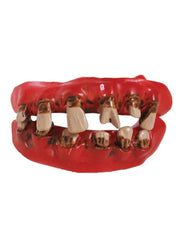 Fake teeth