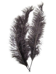 Piet's feather