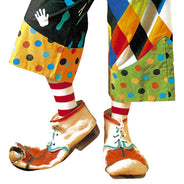 Clown shoes