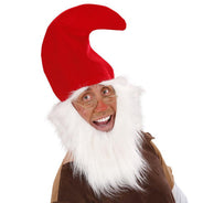 Gnome hat