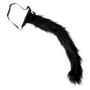 Cat's tail