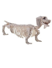 Creepy animals
