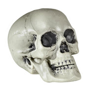 Fake skull