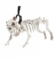 Skeleton dog
