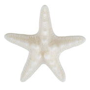 Mermaid accessories