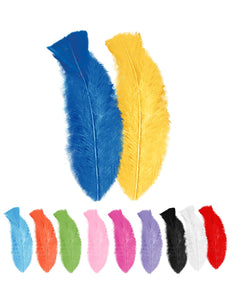 Widmann SRL Halloween decoratie zakje met 50 veertjes zwart