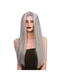 Wicked Costumes Grijze pruik Anna lang haar