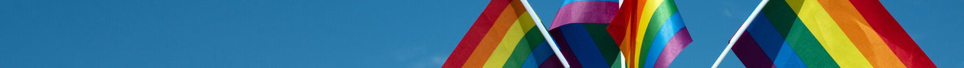 WorldPride Amsterdam regenboog kleding en accessoires