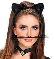 Cat whiskers