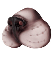 Cat nose