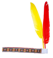 Indian feather