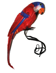 Parrot decoration