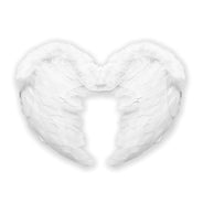 Feather wings