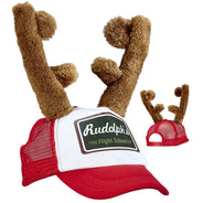 Christmas accessories
