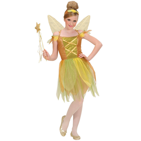 Fairy costume