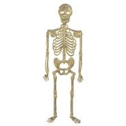 Halloween skeleton