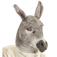 Donkey mask