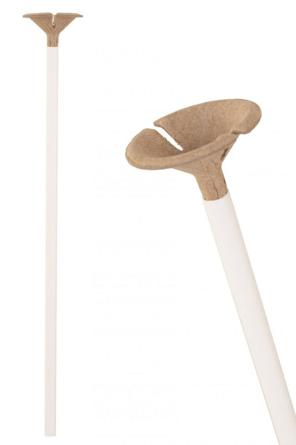 Balloon sticks