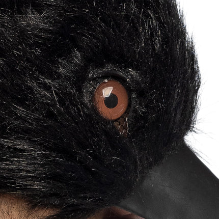 Kraai zwart close-up
