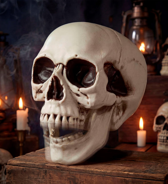 Schedel met beweegbare kaak totaalbeeld – decoratie