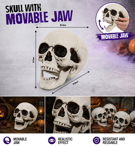 Schedel met beweegbare kaak styling – decoratie