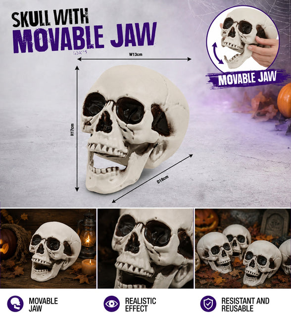 Schedel met beweegbare kaak styling – decoratie