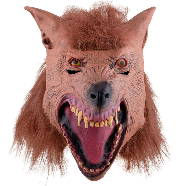 Masker gele wolf — foto 2