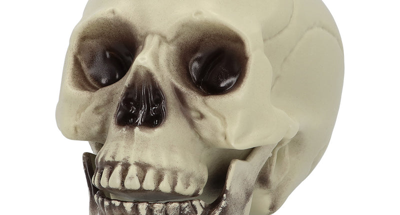 Schedel Whisperbone Halloween decoratie 15 cm