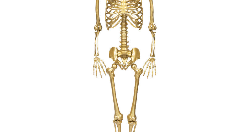 Hangdecoratie Skelet goud XL 160 cm Halloween