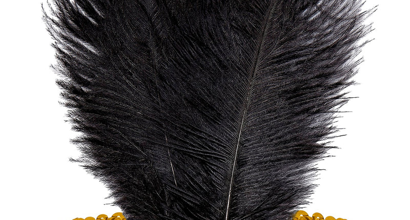 Haarband roaring jaren 20 pailletten met 2 veren en edelsteen goud voor dames vooraanzicht – verkleedkleding