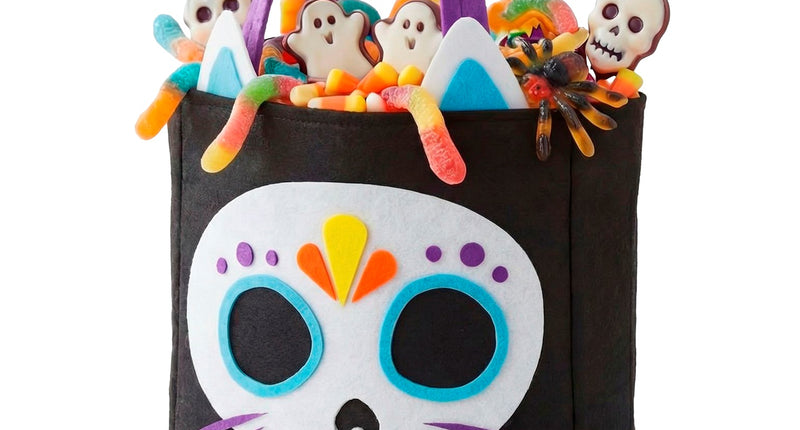 Tas trick-or-treat kat skelet vooraanzicht – verkleedkleding