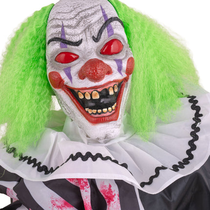 Tafelclown close-up