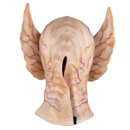 Duivels masker — foto 4