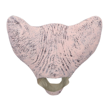 Nachtmerrie-kat latex hoofdmasker