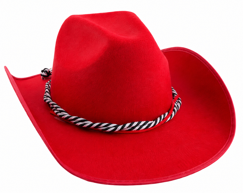 Cowboy hat Martijn in black or brown