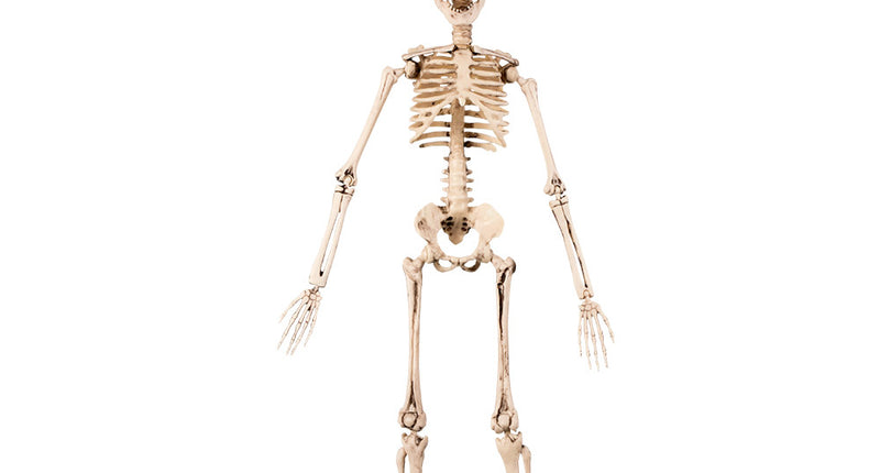 Boland Decoratie Beweegbaar skelet Flex 50cm