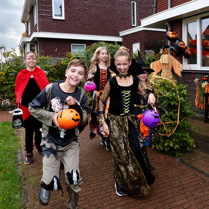 Boland Emmer Pompoen Halloween oranje