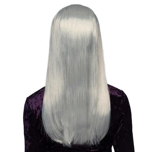 Boland Grijze pruik lang stijl haar heks