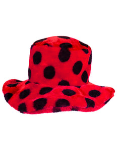 Boland Hoed Lieveheersbeestje