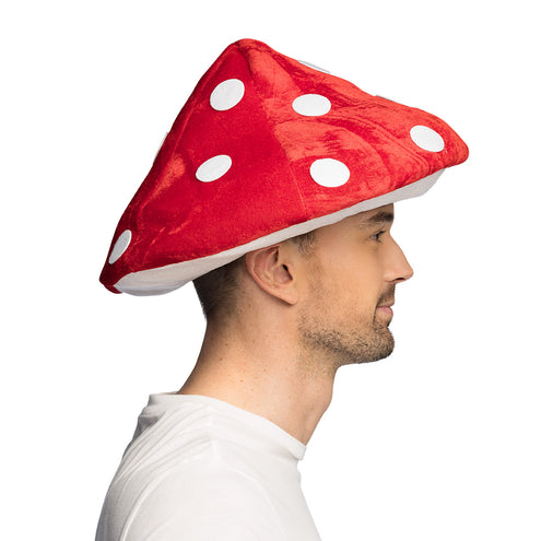 Boland Hoed Paddenstoel