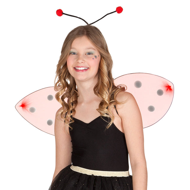 Boland Lieveheersbeestje verkleed set kind