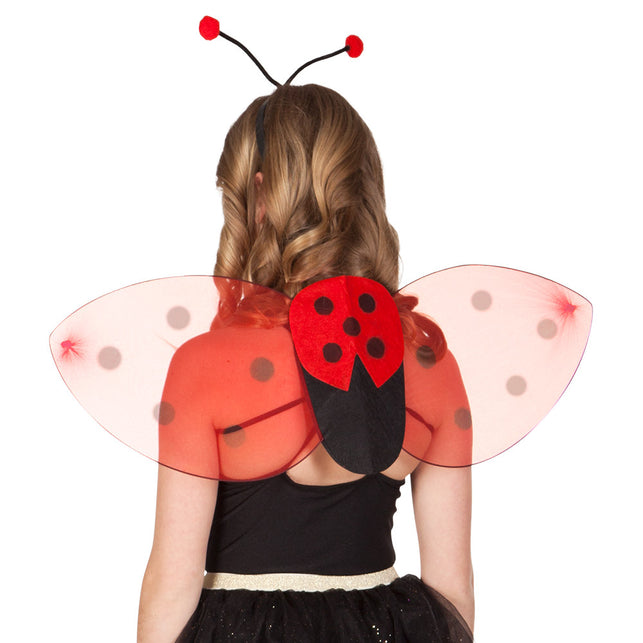 Boland Lieveheersbeestje verkleed set kind