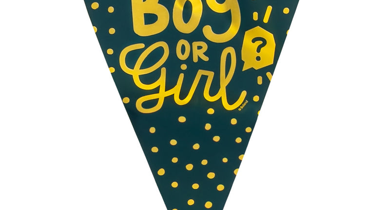 Boland PE vlaggenlijn 'Boy or girl?'