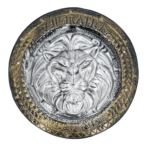 Boland Ridder schild met zwaard set