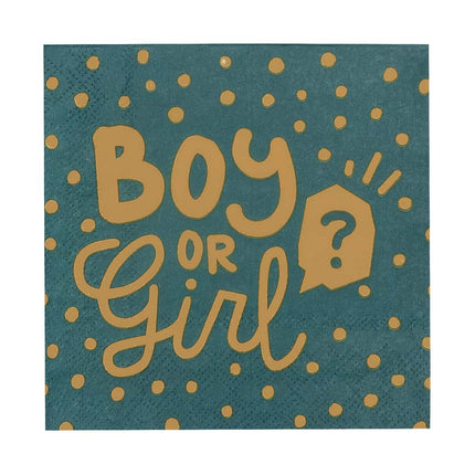 Boland Set 20 papieren servetten 'Boy or girl?'