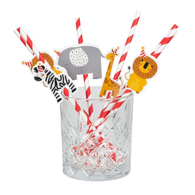Boland Set 6 papieren rietjes Safari