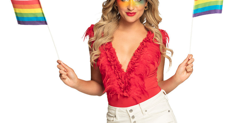 Boland Set 6 papieren zwaaivlaggen Regenboog