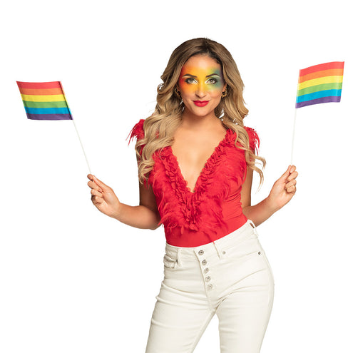 Boland Set 6 papieren zwaaivlaggen Regenboog