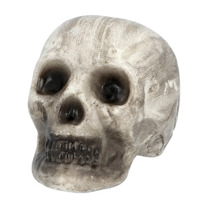 Boland Set 6 Schedel & beenderen