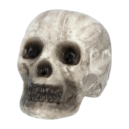 Boland Set 6 Schedel & beenderen